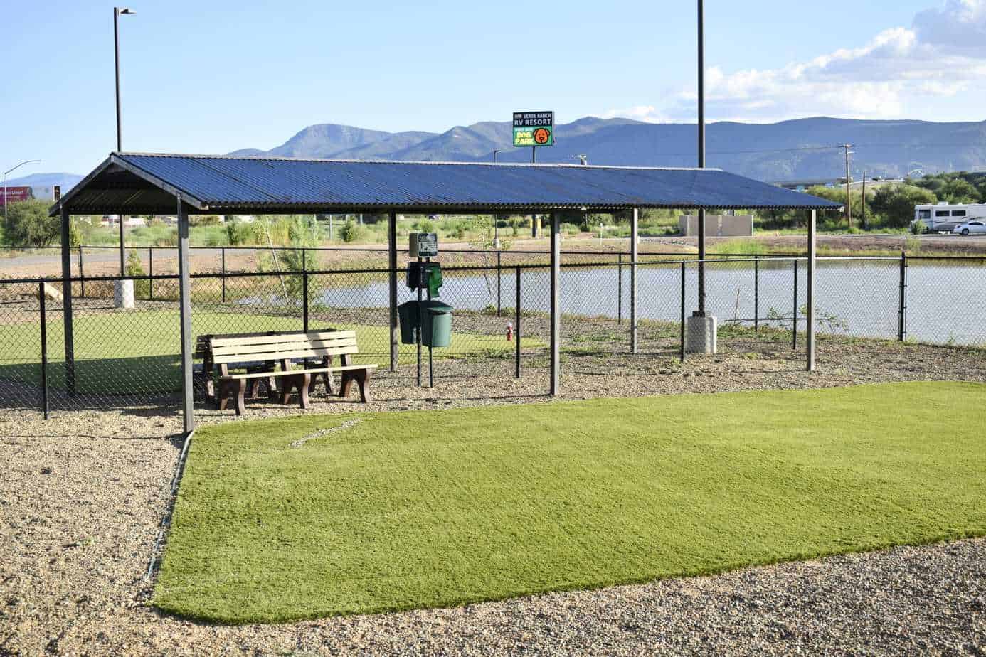 Dog Park