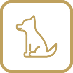 Simple line drawing of a sitting dog inside a rounded square border with a gold outline on a white background.