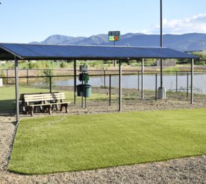 Dog Park